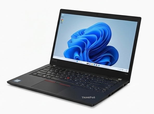 Lenovo ThinkPad T490